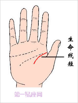 男人的生命线的几种不同诠释