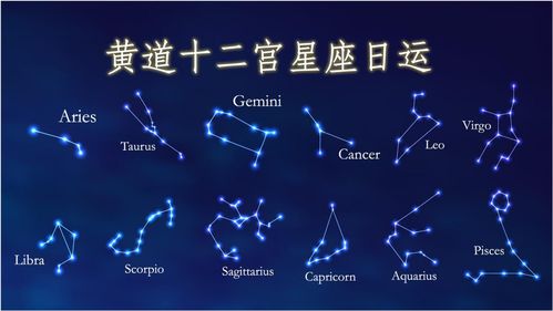 十二星座今日运势查询