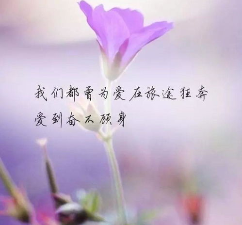 情深似海是什么生肖