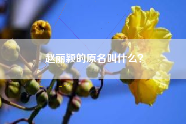 赵丽颖的原名叫什么？