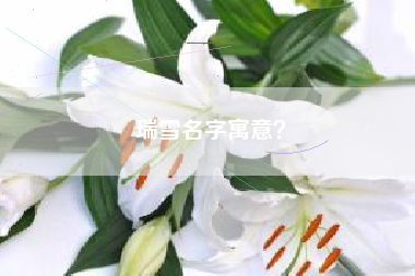 瑞雪名字寓意？