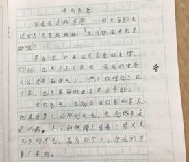 父母的爱400字优秀作文