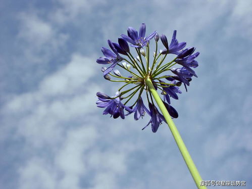 3月16号出生的双鱼座最厉害