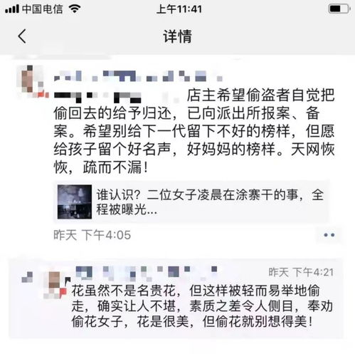 天网恢恢疏而不漏什么生肖