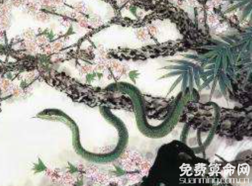 十二生肖的传说之蛇，生肖蛇的来历