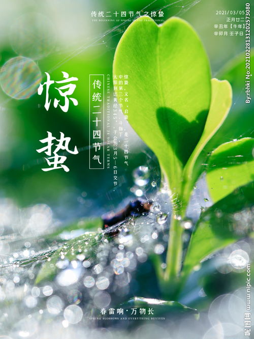 惊蛰和谷雨之间的节气