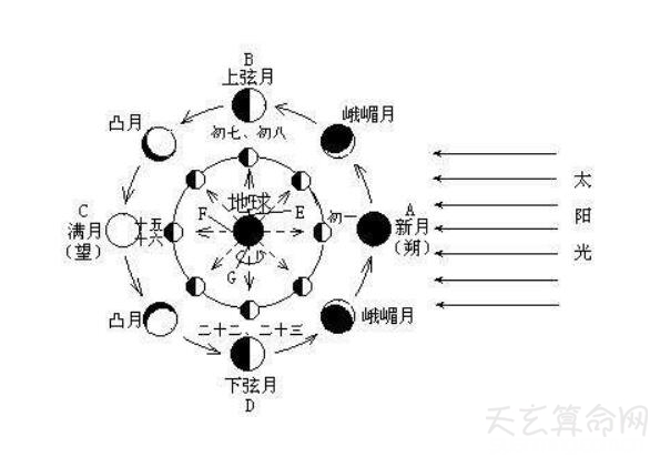 农历是什么历(俗称阴历)关于农历和阴历的区别解析