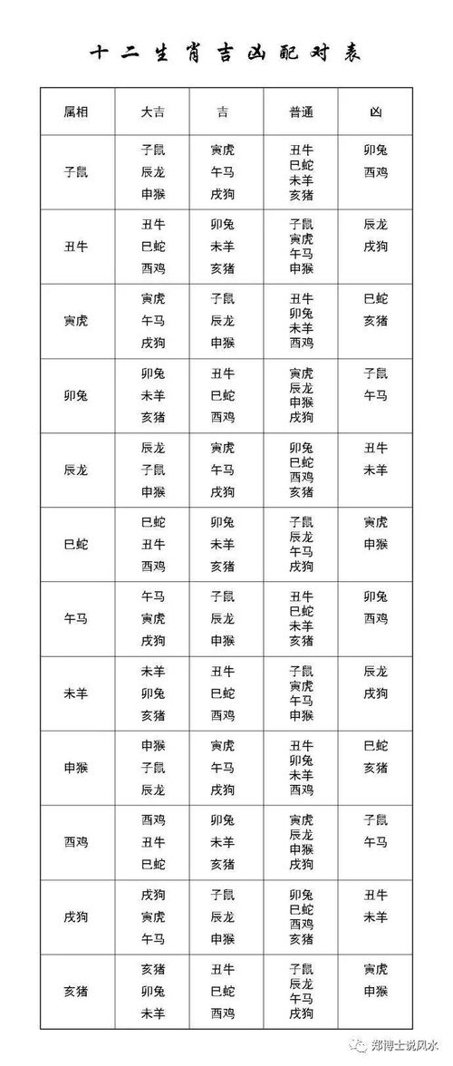 12生肖佳婚姻配对表