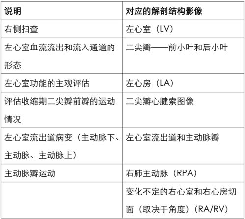 免费算命称骨八字称命